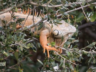 20141129-untitled-1000416-