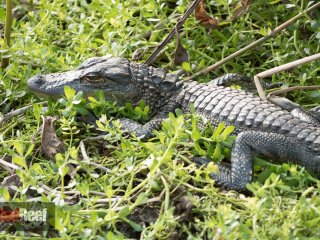 20141129-untitled-1000434-