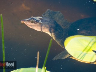 20141129-untitled-1000446-