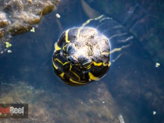 20141129-untitled-1000495-