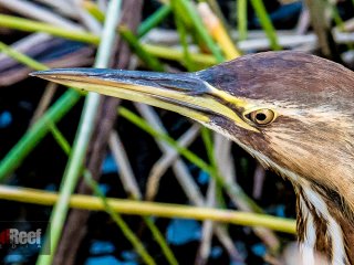 20141129-untitled-1000505-