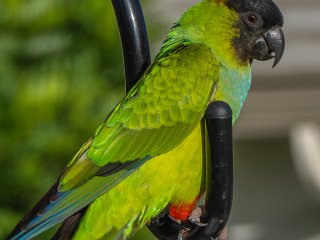 PANA0014-Enhanced-NR